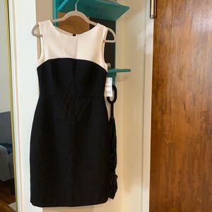 Zara classic dress